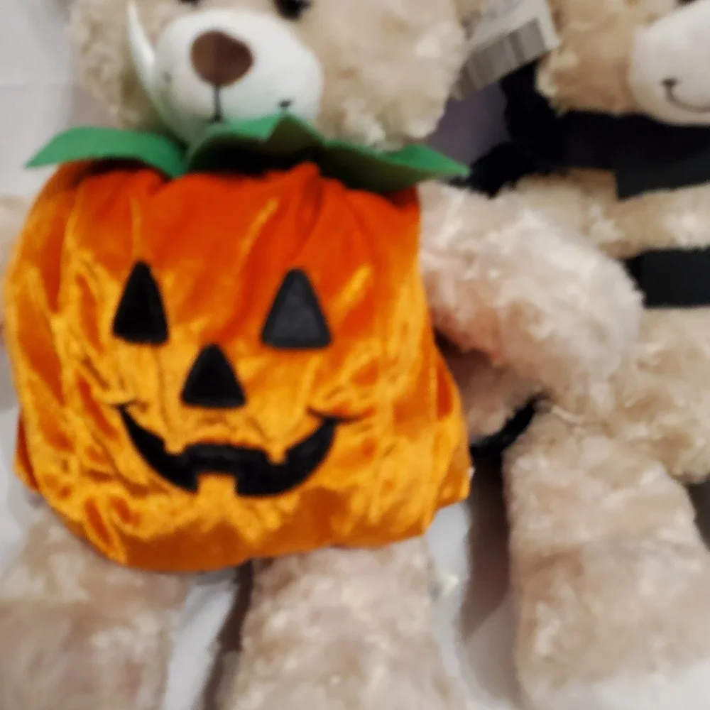 Pair of Build A Bear 15